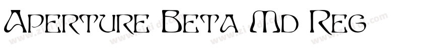 Aperture Beta Md Reg字体转换
